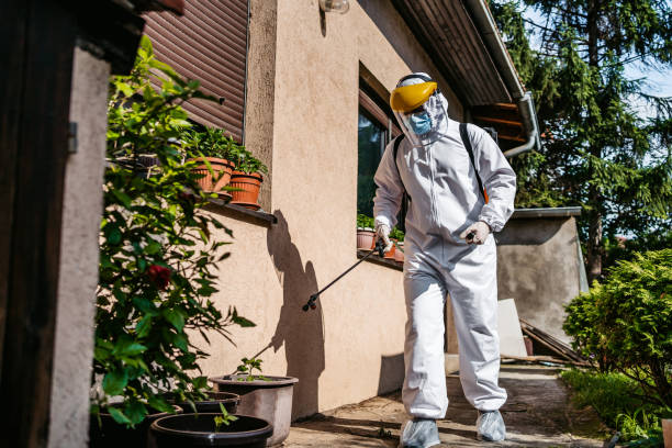 Best Insect Control  in Dowagiac, MI