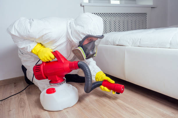 Best Affordable Pest Control Services  in Dowagiac, MI