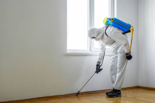 Reliable Dowagiac, MI Pest Control Solutions